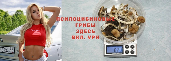 твердый Белокуриха