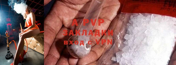 амф Беломорск