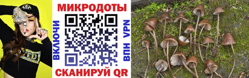 купить наркотик Ясногорск Псилоцибиновые грибы Psilocybine cubensis